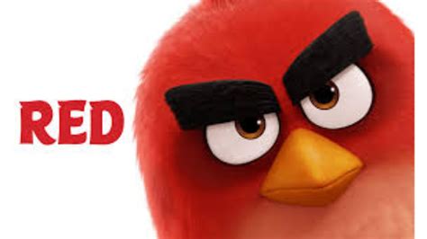 wallpaper angry bird red